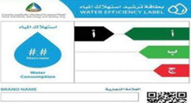 Implementing Requirements for Export to Saudi Arabia 